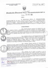 Vista preliminar de documento RD N°077