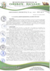 Vista preliminar de documento ORDENANZA MUNICIPAL N° 013-2020-MPC-M/A