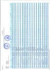 Vista preliminar de documento Reporte de seguimiento semestral del PEI- primer semestre 2023