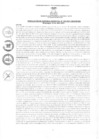 Vista preliminar de documento rgm2522021gmampmn