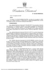 Vista preliminar de documento RD 142