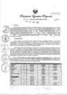 Vista preliminar de documento RE377-2023