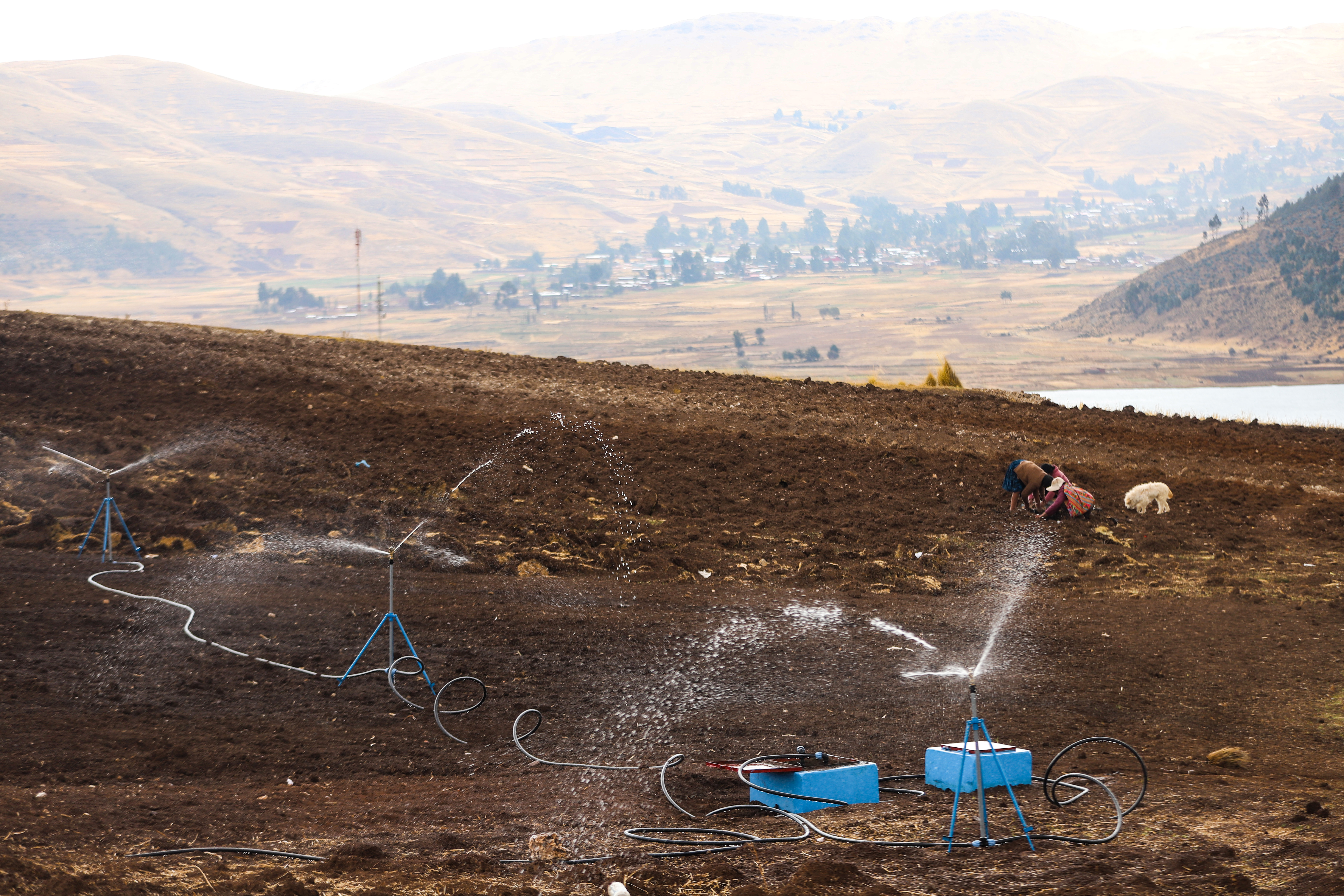 Energía Solar y Agricultura unidas: GORE Cusco entrega proyecto de Riego a más de 200 familias de agricultores en Acomayo