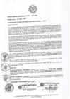 Vista preliminar de documento resolucion1712013
