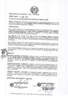 Vista preliminar de documento resolucion1722013