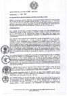 Vista preliminar de documento resolucion1732013