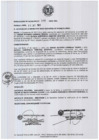Vista preliminar de documento resolucion3172013
