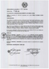 Vista preliminar de documento resolucion2712013