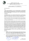 Vista preliminar de documento RESOLUCION DIRECTORAL Nº 013-2023-GRP-DRTPE-DIT