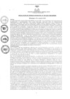 Vista preliminar de documento rgm2632021gmampmn
