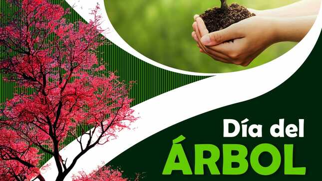 DÍA DEL ÁRBOL
#01deSeptiembre