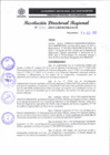 Vista preliminar de documento RDR 290-2023