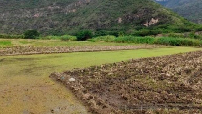 La Contraloría General notificó a Petróleos del Perú (Petroperú) la existencia de cultivos agrícolas y una losa deportiva, en las áreas adyacentes al Oleoducto Norperuano – Tramo II; a fin de que la empresa estatal de hidrocarburos adopte medidas preventivas y correctivas que mitiguen el riesgo de que se produzcan fracturas o cortes en las tuberías que podrían desencadenar en un derrame de petróleo, provocando contingencias ambientales que afectan a la población, como ya ha sucedido en el pasado.