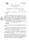 Vista preliminar de documento ACR N011