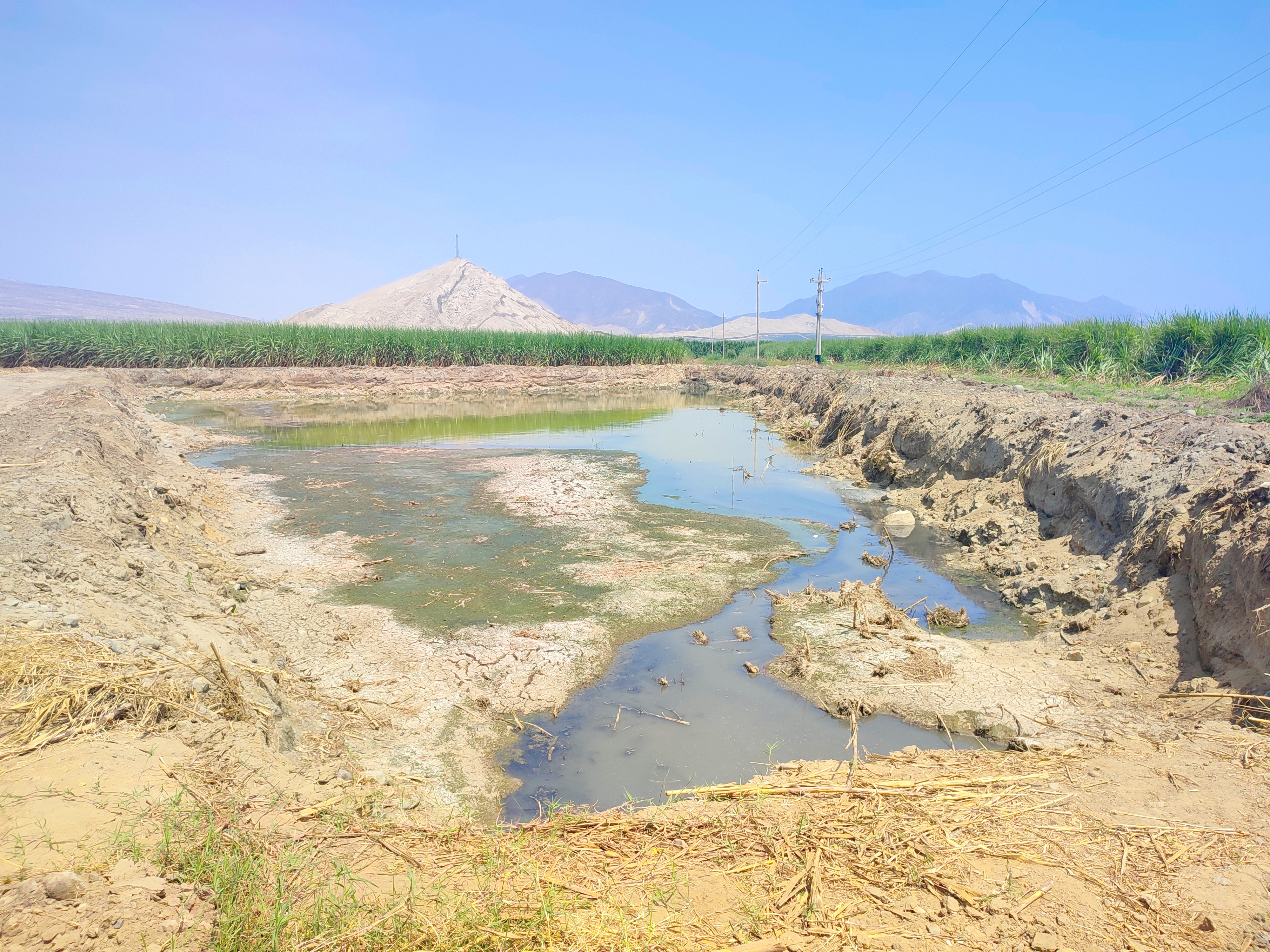 Limpieza de la laguna de oxidación del centro poblado de Cerro Blanco