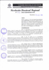 Vista preliminar de documento RDR 287-2023