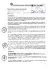 Vista preliminar de documento ra_302