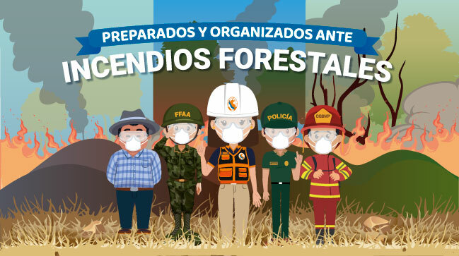 minisite incendios forestales