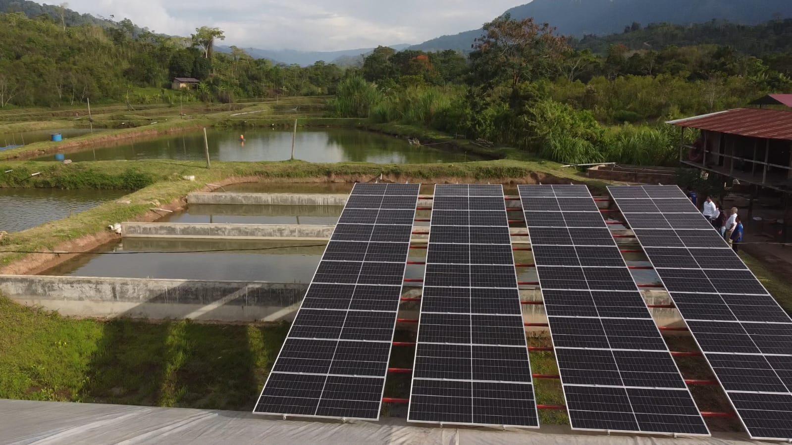Produce: PNIPA generó incremento de ingresos de hasta S/ 2.9 millones en comunidades dedicadas a la acuicultura
