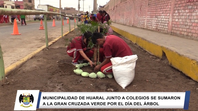 Municipalidad de Huaral se sumó a la "Gran Cruzada Verde" con jornada de reforestación junto a escolares del nivel secundario