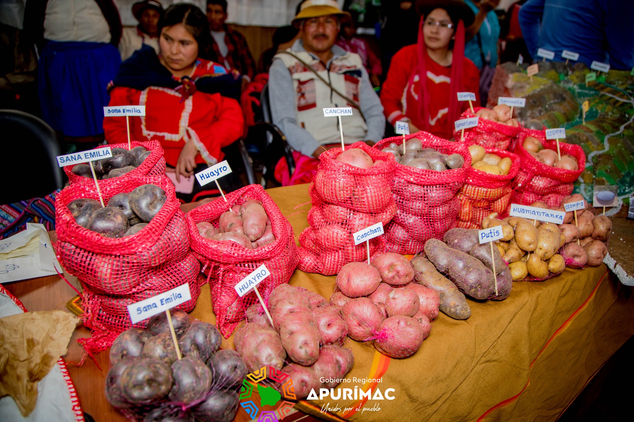 Avanza PROCOMPITE regional 2023 con evaluación y exposición de planes de negocio de asociaciones de productores en Apurímac