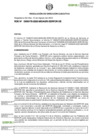 Vista preliminar de documento RDE-000176-2023-DE