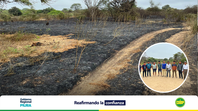 Regristro fotográfico de la ayuda para contrrestrar el incendio forestal