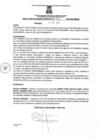 Vista preliminar de documento rgm3462021gmampmn