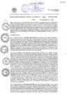 Vista preliminar de documento RGG N655