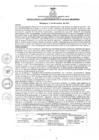 Vista preliminar de documento rgm4242021gmampmn