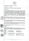 Vista preliminar de documento resolucion1952012