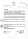 Vista preliminar de documento resolucion2172012