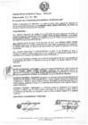 Vista preliminar de documento resolucion4002012