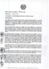 Vista preliminar de documento resolucion4102012