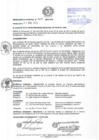 Vista preliminar de documento resolucion0132012