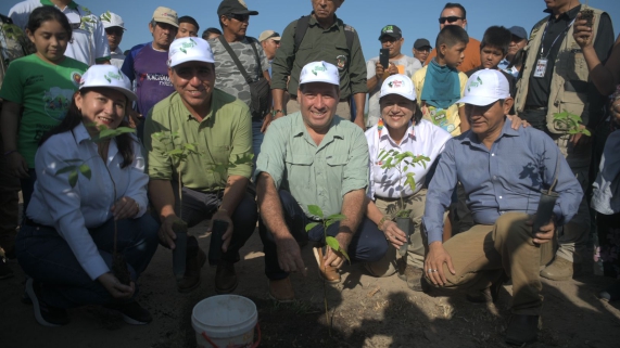 PLANTACIONES