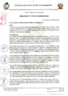 Vista preliminar de documento Resolucion_115_2023