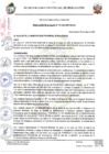 Vista preliminar de documento Resolucion_161_2023