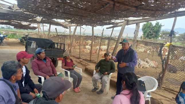 Implementan Escuela de Campo para fortalecer el sector agrario en Catahuasi - Yauyos