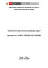 Vista preliminar de documento Instructivo del proceso SERUMS2023–II