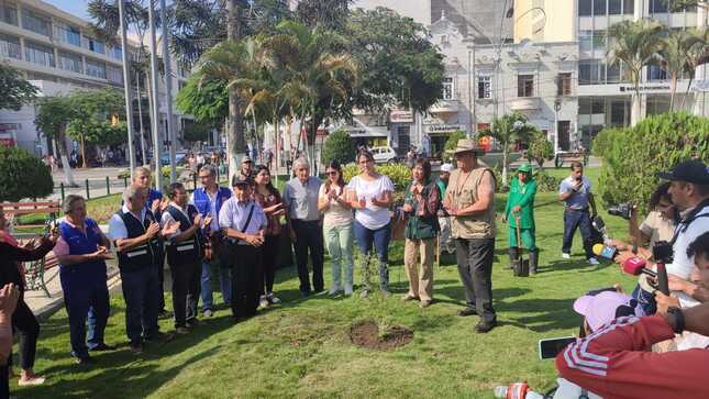 DÍA DEL ÁRBOL: Alcaldesa simebra el primer Algarrobo en el Parque Principal de Chiclayo