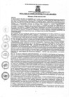 Vista preliminar de documento rgm4612021gmampmn