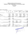 Vista preliminar de documento RESUMEN DE MARCO PRESUPUESTAL Y EJECUCION DE GASTO POR FTE. FTO. RO, RDR, DYT. ENERO 2021