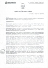 Vista preliminar de documento RD_247-2019-DIRESA L-RSCY-DE