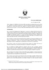 Vista preliminar de documento RD_0133_2023_MINEM_DGAAE