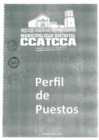Vista preliminar de documento Perfil de Puestos.