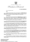 Vista preliminar de documento RD 145