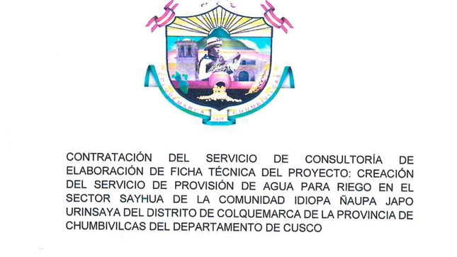 contratacion de un servicio  de consultoria 