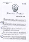 Vista preliminar de documento RD-223-2023