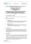 Vista preliminar de documento TDR